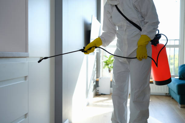 Best Mold Testing and Removal  in Buffalo Grove, IL