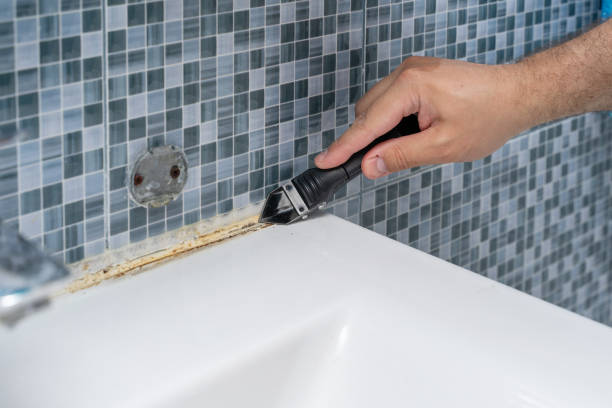 Best Same-Day Mold Removal  in Buffalo Grove, IL