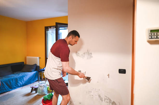 Mold Testing and Removal in Buffalo Grove, IL